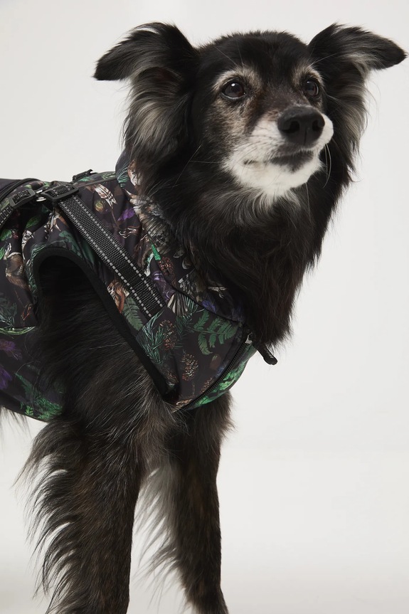 Kurtka dla pupila multicolor RW25-KUU904