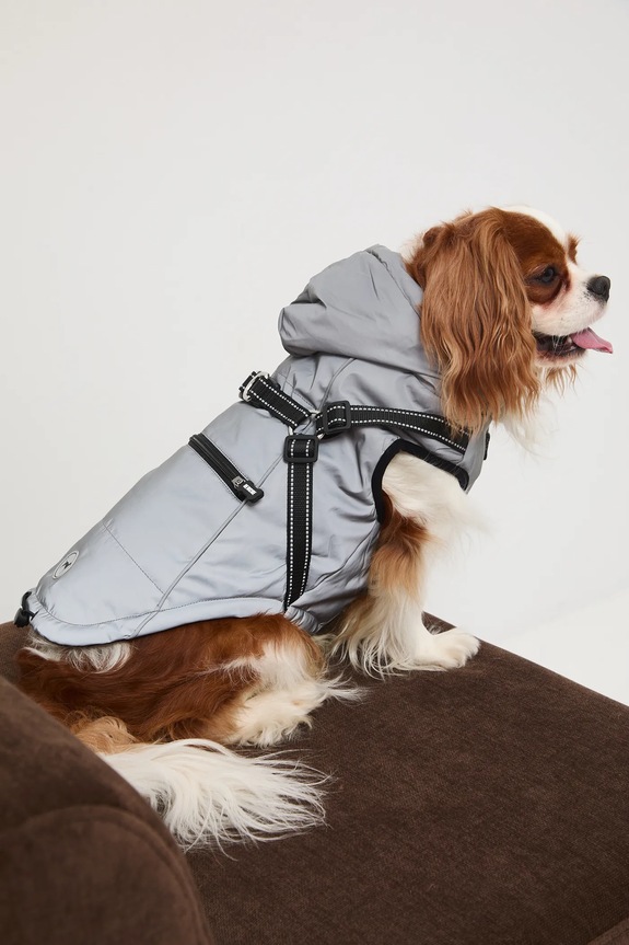 Kurtka dla pupila srebrny RW25-KUU904