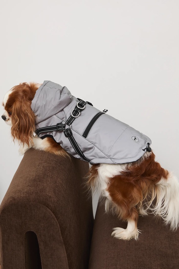 Kurtka dla pupila RW25-KUU904 srebrny RW25