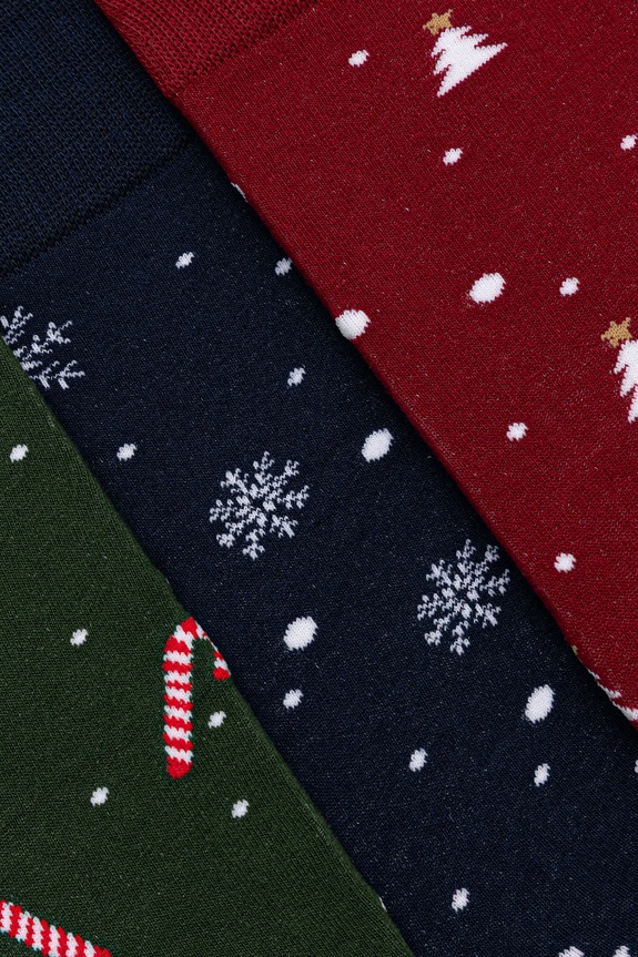 Bavlněné ponožky pánské vánoční (3-pack) RW25-LBMA02 vícebarevná RW25