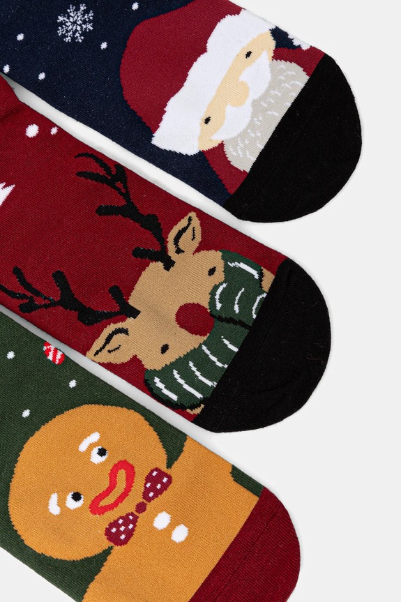 Oblečení Bavlněné ponožky pánské vánoční (3-pack) RW25-LBMA02 vícebarevná