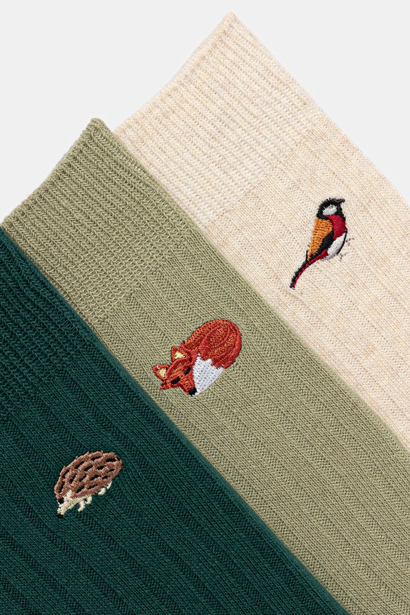 Skarpetki bawełniane damskie z ozdobnymi haftami (3-pack) RW25-LGD702 multicolor RW25