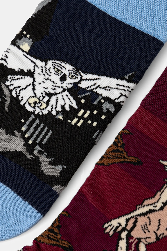 Βαμβακερές κάλτσες Medicine 2-pack RW25-LGDB50 πολύχρωμο RW25