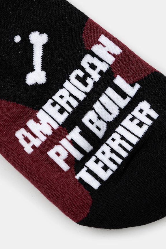 Skarpetki bawełniane męskie z okazji Dnia Psa RW25-LGM404 czarny RW25