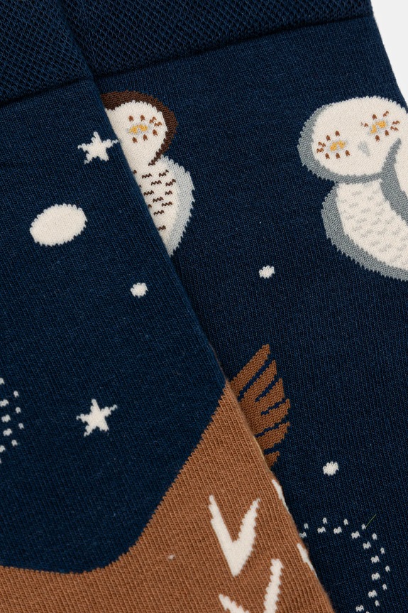 Oblečenie Bavlnené ponožky s motívom sovy (2-pack) RW25-LGM703 viacfarebná