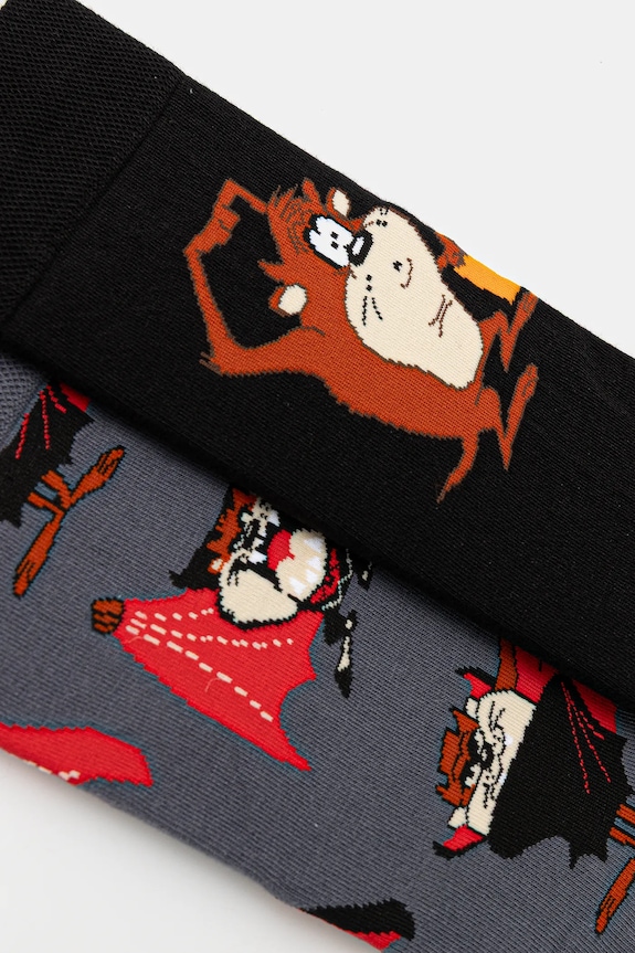 Skarpetki bawełniane męskie Looney Tunes (2-pack) RW25-LGM850 multicolor RW25