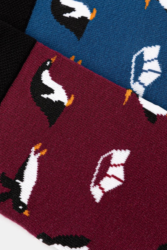 Bavlnené ponožky (2-pack) RW25-LGMA03 viacfarebná RW25