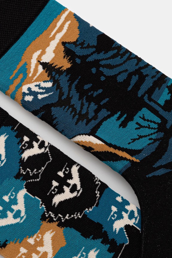 Skarpetki bawełniane męskie wzorzyste (2-pack) RW25-LGMA13 multicolor RW25