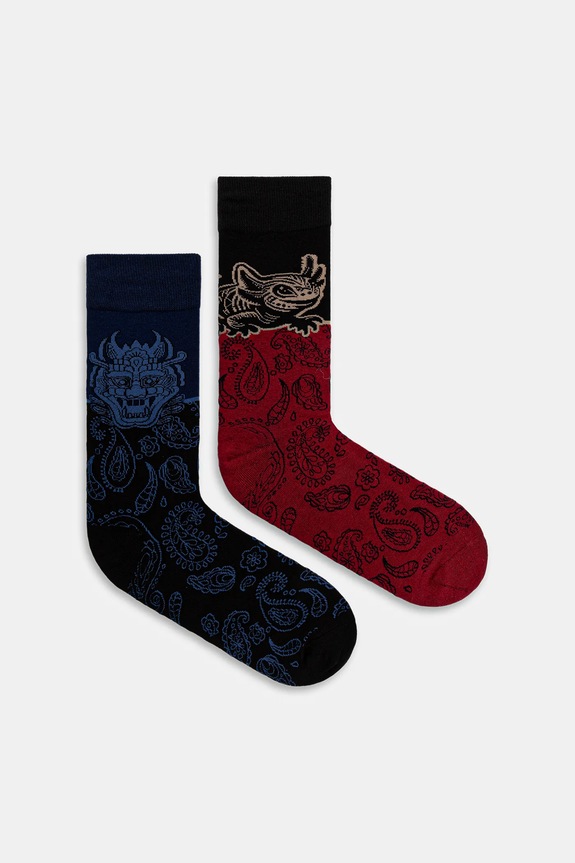Skarpetki bawełniane męskie wzorzyste (2-pack) skarpetki długie multicolor RW25-LGMB10