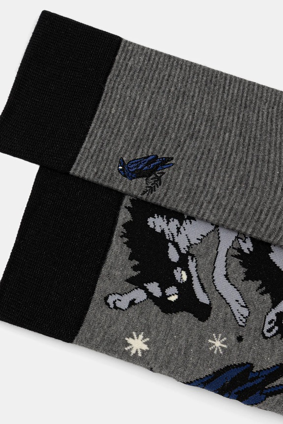 Bavlnené ponožky vzorované (2-pack) RW25-LGMB20 viacfarebná RW25