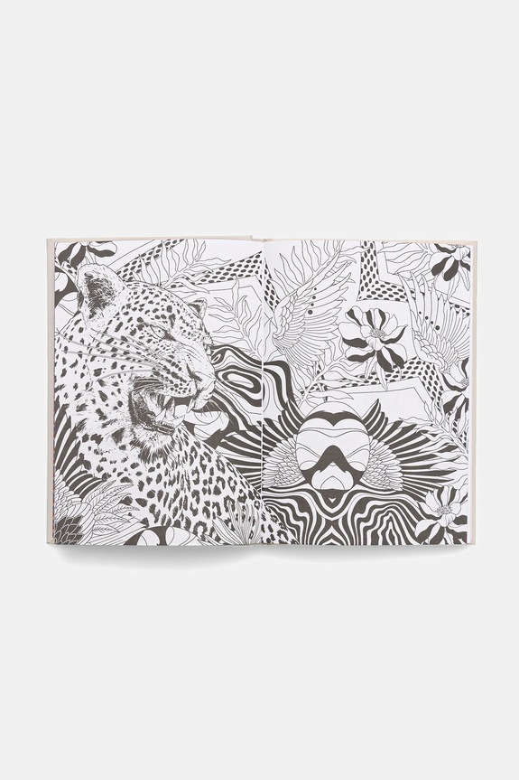 Življenjski slog Planer Medicine RW25-PAU801 pisana