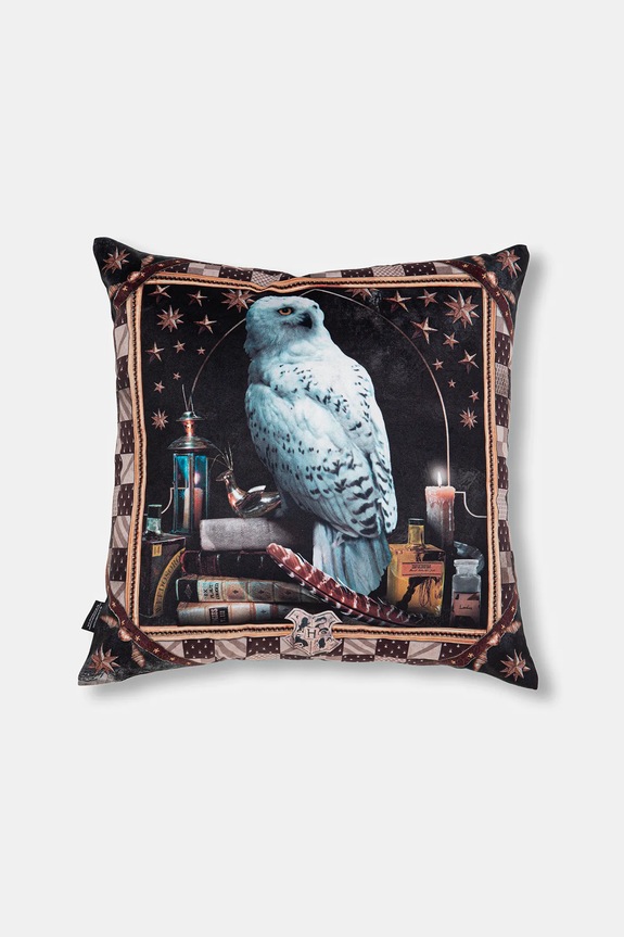 Okrasna prevleka za vzglavnik Medicine 2-pack RW25-PSUB50 pisana