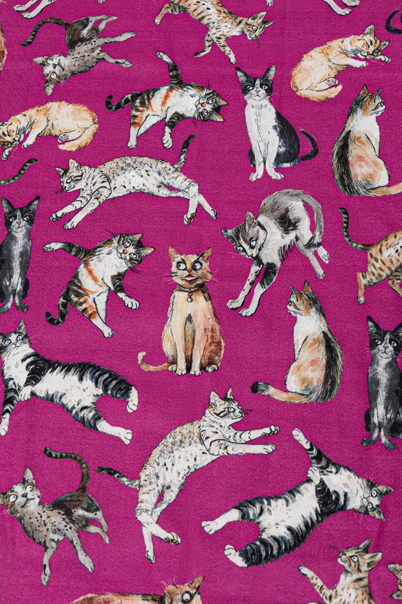 Szal damski w koty RW25-SAD401 multicolor RW25