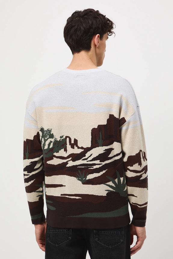 Sweter męski żakardowy wzorzysty RW25-SWM400 multicolor RW25