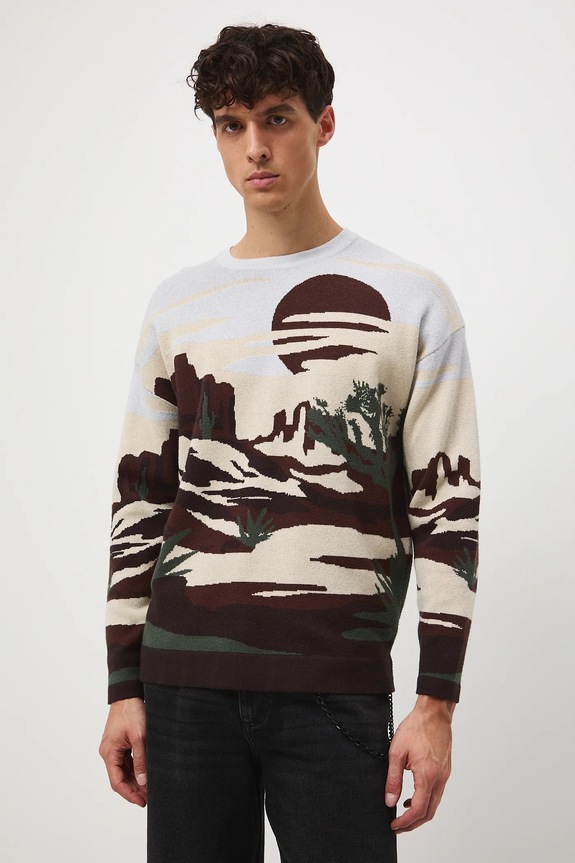 Odzież Sweter męski żakardowy wzorzysty RW25-SWM400 multicolor