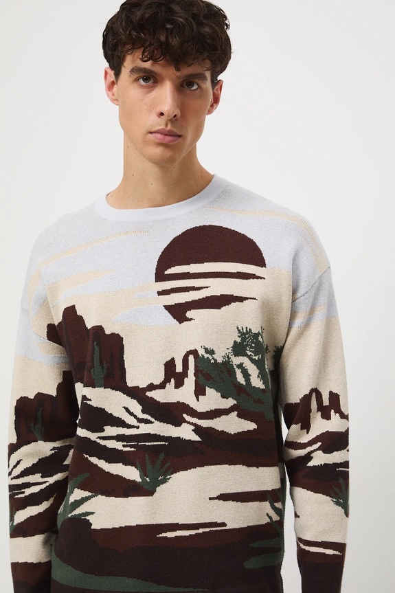 Sweter męski żakardowy wzorzysty multicolor RW25-SWM400