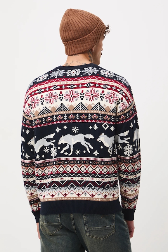 Odzież Sweter męski świąteczny wzorzysty RW25-SWMA50 multicolor