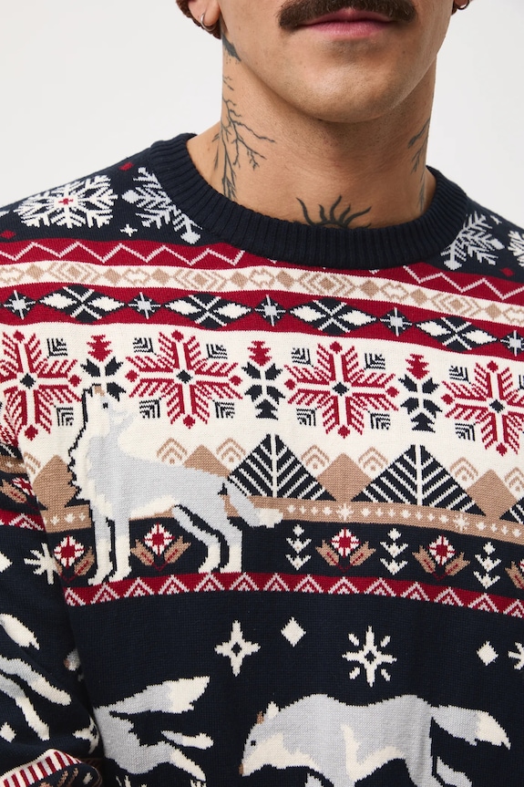 Sweter męski świąteczny wzorzysty RW25-SWMA50 multicolor