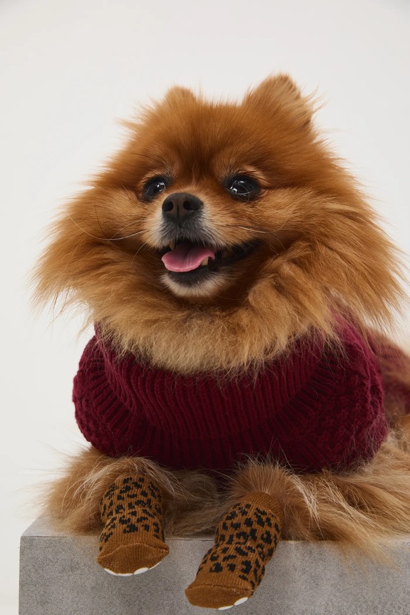 Sveter pre psa s pletenou väzbou RW25-SWU090 burgundské