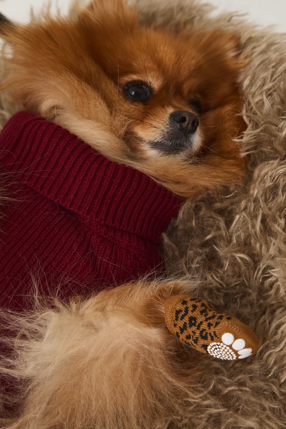 Sveter pre psa s pletenou väzbou RW25-SWU090