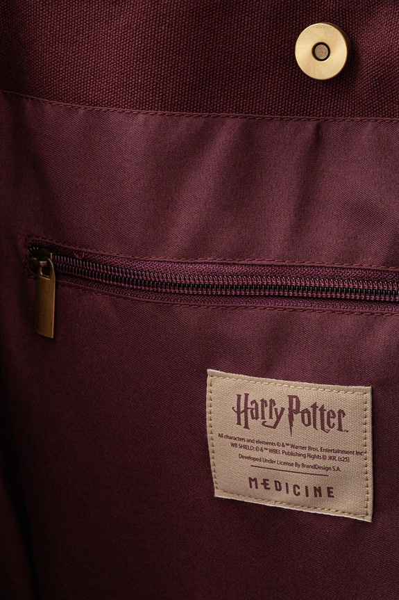 Torba bawełniana z kolekcji Harry Potter RW25-TCDB50