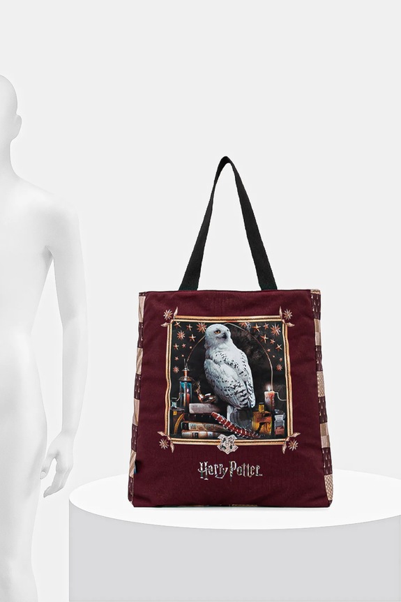 Torba bawełniana z kolekcji Harry Potter RW25-TCDB50