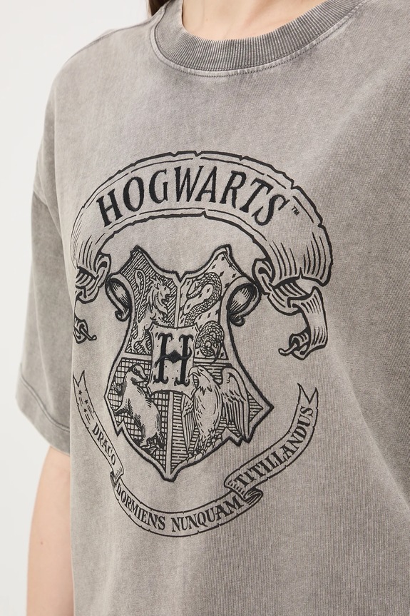 T-shirt bawełniany damski z kolekcji Harry Potter RW25-TSDB50 szary
