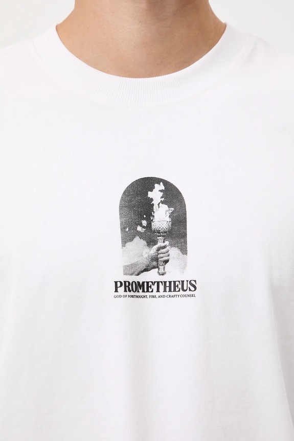 T-shirt bawełniany męski z nadrukiem RW25-TSM304 biały