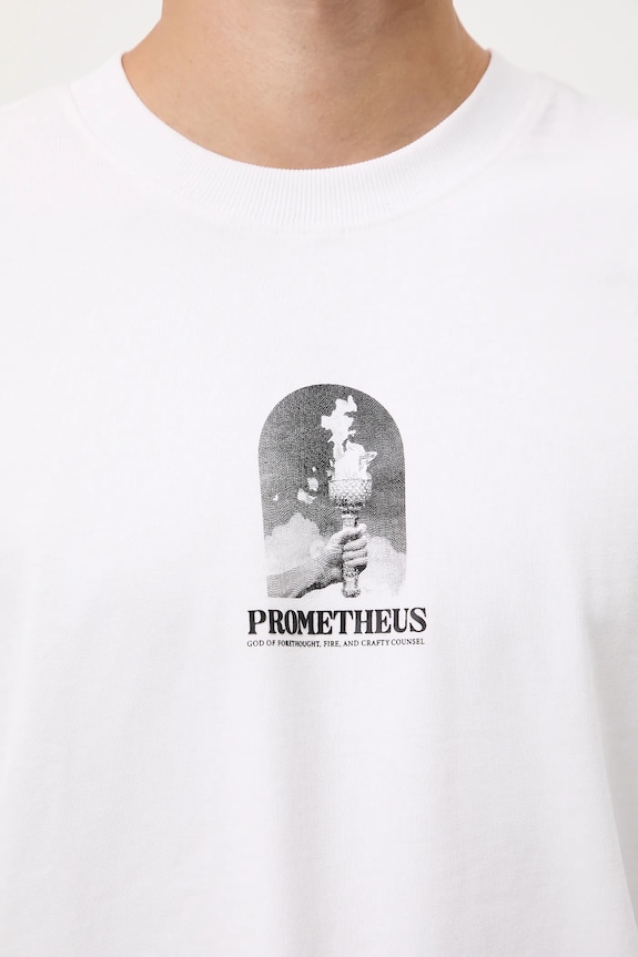 T-shirt bawełniany męski z nadrukiem RW25-TSM304 biały