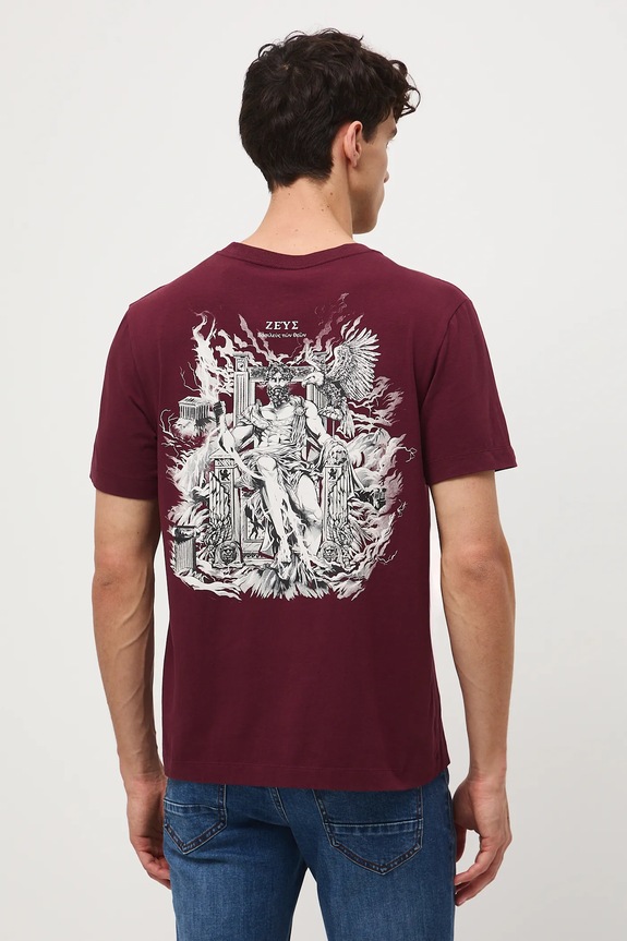 T-shirt bawełniany męski z elastanem z nadrukiem RW25-TSM310 bordowy RW25