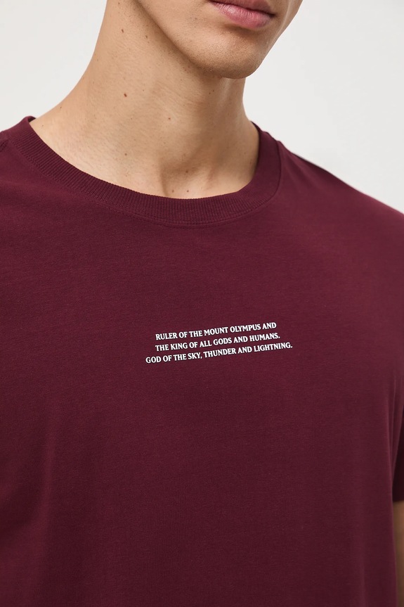 T-shirt bawełniany męski z elastanem z nadrukiem RW25-TSM310 bordowy