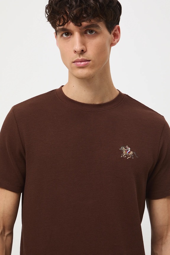 T-shirt bawełniany męski z ozdobnym haftem brązowy RW25-TSM407