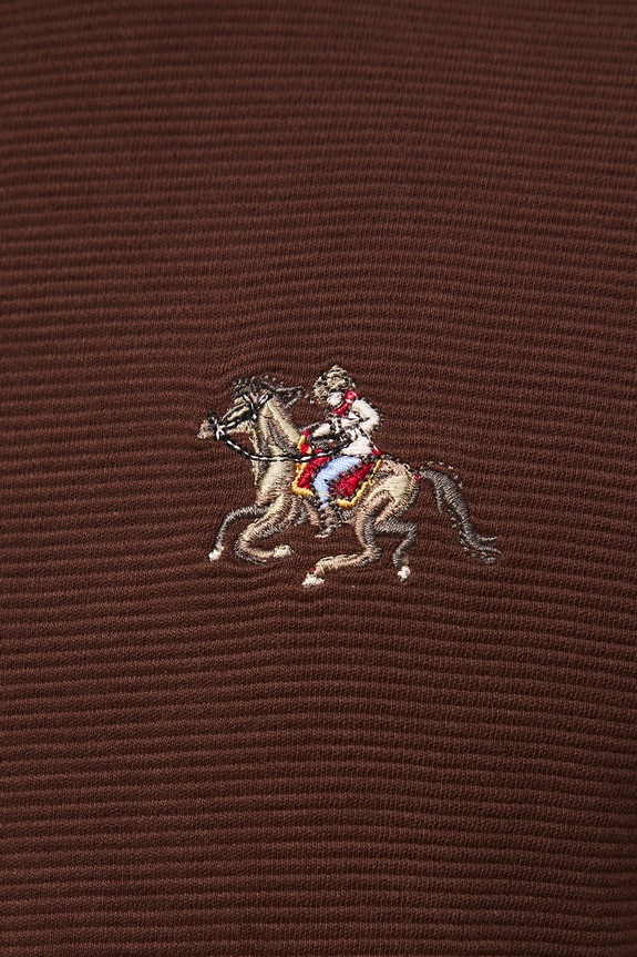 T-shirt bawełniany męski z ozdobnym haftem RW25-TSM407 brązowy
