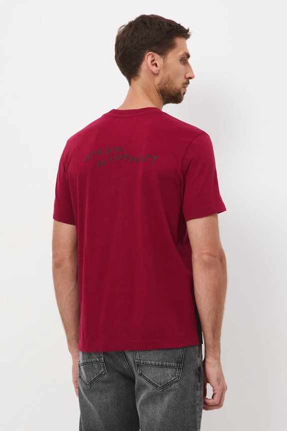 Odzież T-shirt bawełniany męski z nadrukiem RW25-TSM901 czerwony