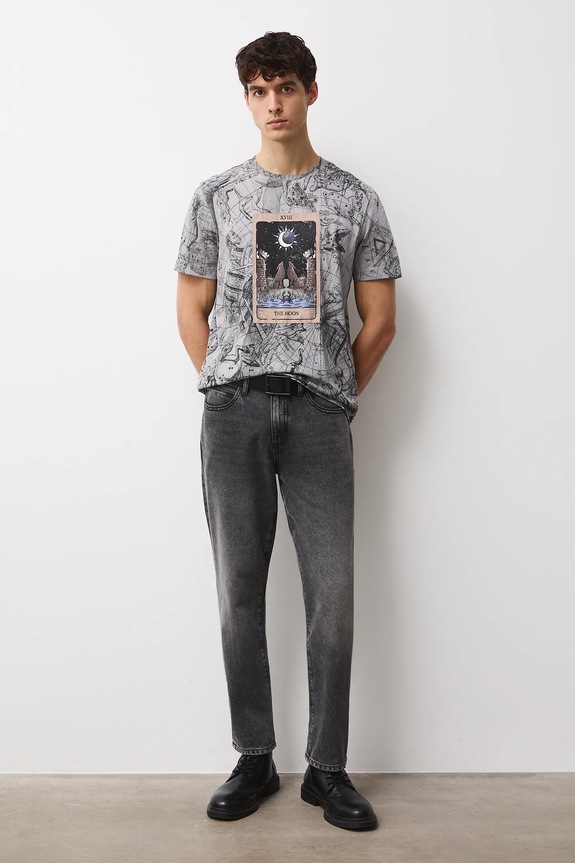 T-shirt bawełniany męski wzorzysty RW25-TSMC15 szary RW25
