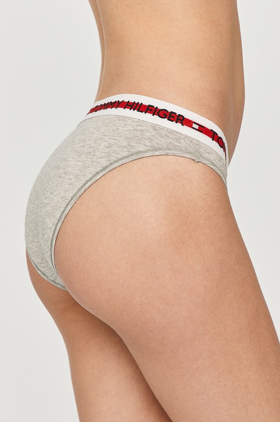 Tommy Hilfiger - Gaćice UW0UW02455.4891 siva AA00