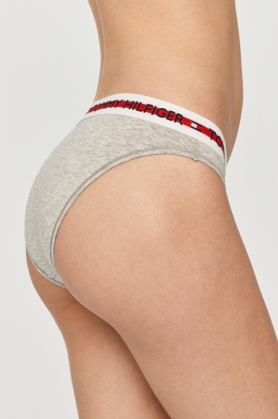 Tommy Hilfiger - Gaćice UW0UW02455.4891 siva AA00