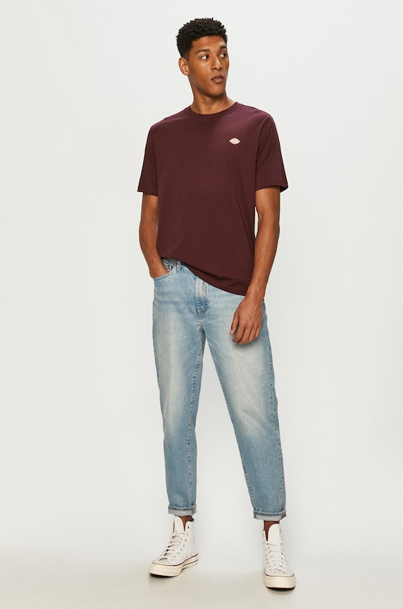 Dickies T-shirt DK0A4XDBMR0 bordowy AW24