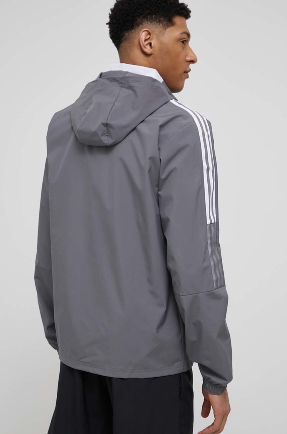 Одяг Спортивна куртка adidas Performance GM7389 сірий