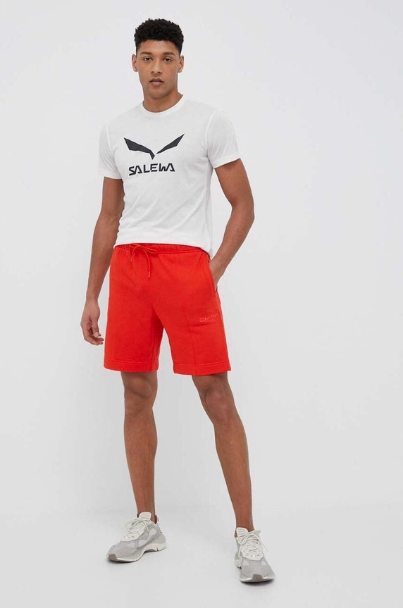 Salewa t-shirt sportowy Solidlogo Dry 00.0000027018 beżowy SS26