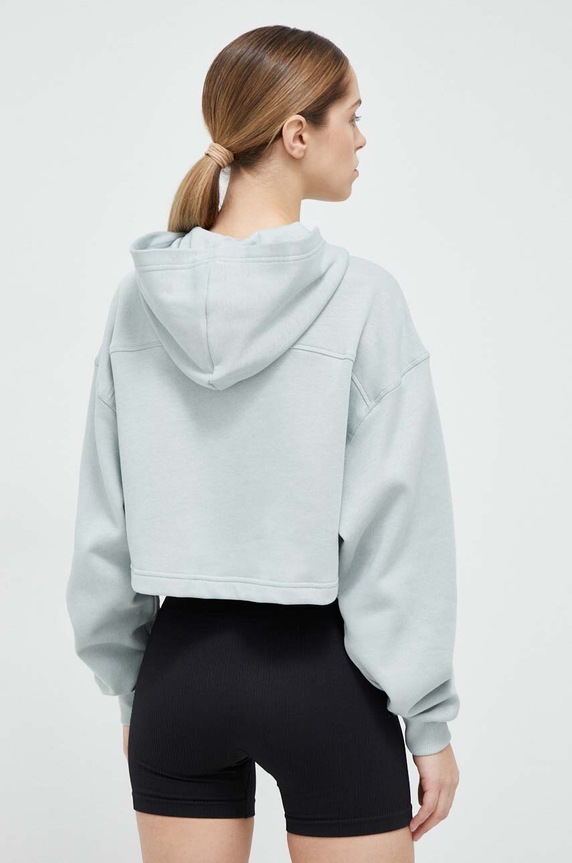 Ρούχα Μπλούζα Reebok HZ3383 πράσινο