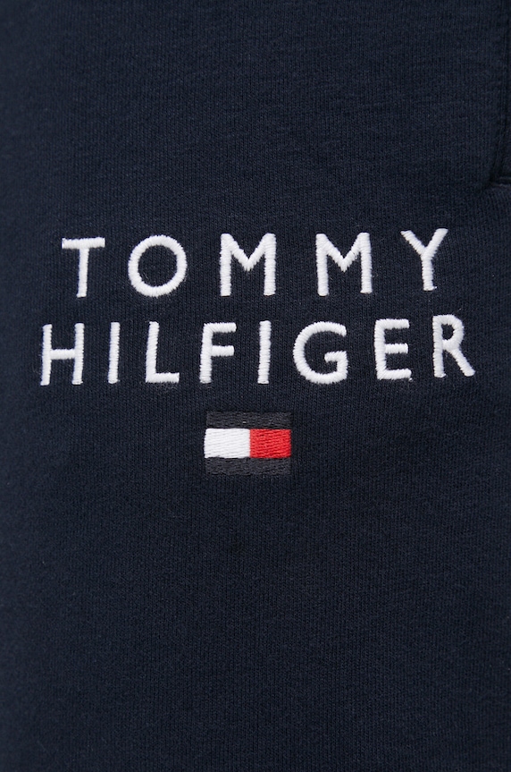 Oblečení Tepláky Tommy Hilfiger UM0UM02880.PPYX námořnická modř