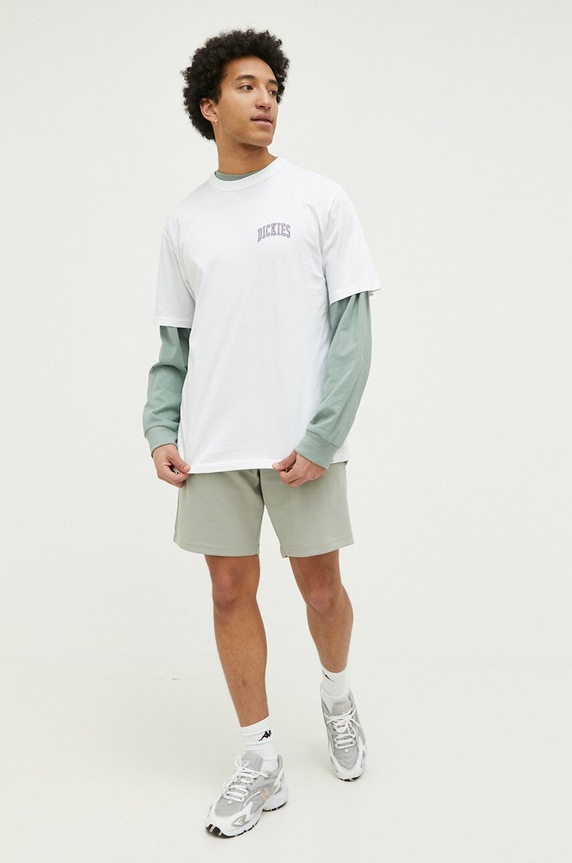 Bavlněné tričko Dickies DK0A4Y8OWHX1 bílá SS23