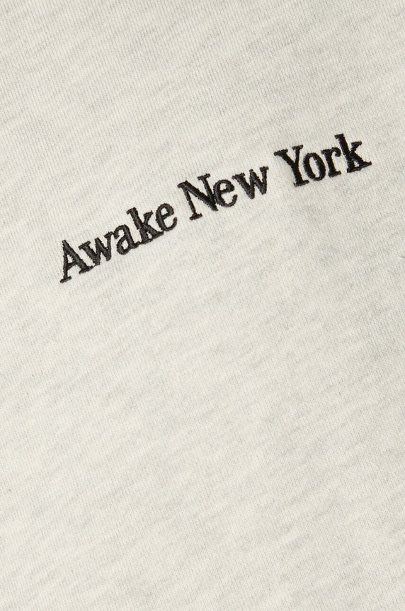 Bavlněná mikina Awake NY Serif Hoodie SP24.HD003