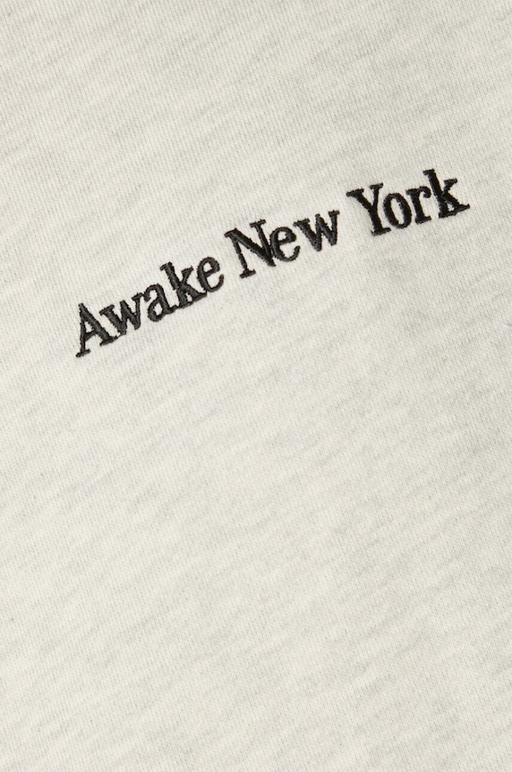 Bavlněná mikina Awake NY Serif Hoodie SP24.HD003