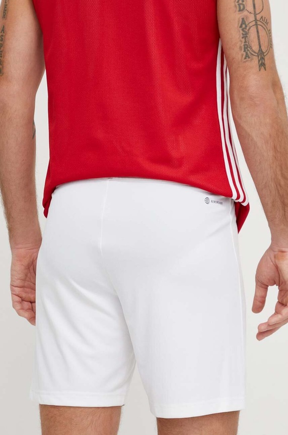 Oblečenie Tréningové šortky adidas Performance Entrada 22 HG6295 biela