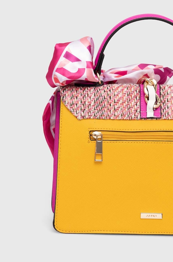 Accessori Aldo borsetta CAILLA CAILLA.982 multicolore