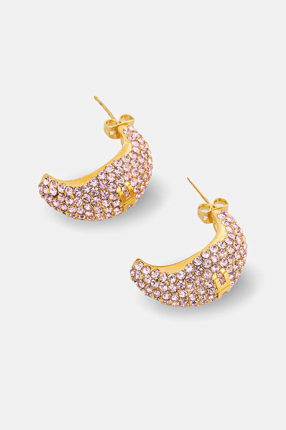 Accesorii Elisabetta Franchi cercei OR44M51E2 roz