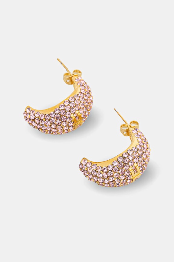 Accesorii Elisabetta Franchi cercei OR44M51E2 roz