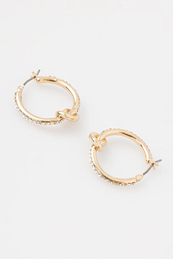 Dkny cercei 04G00796 aur SS25